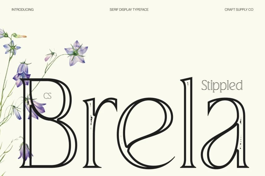 CS Brela stippled Font – Serif creative asset