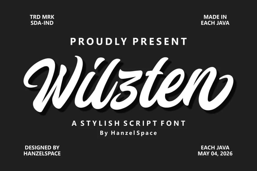 Wilzten Script Font – Script creative asset