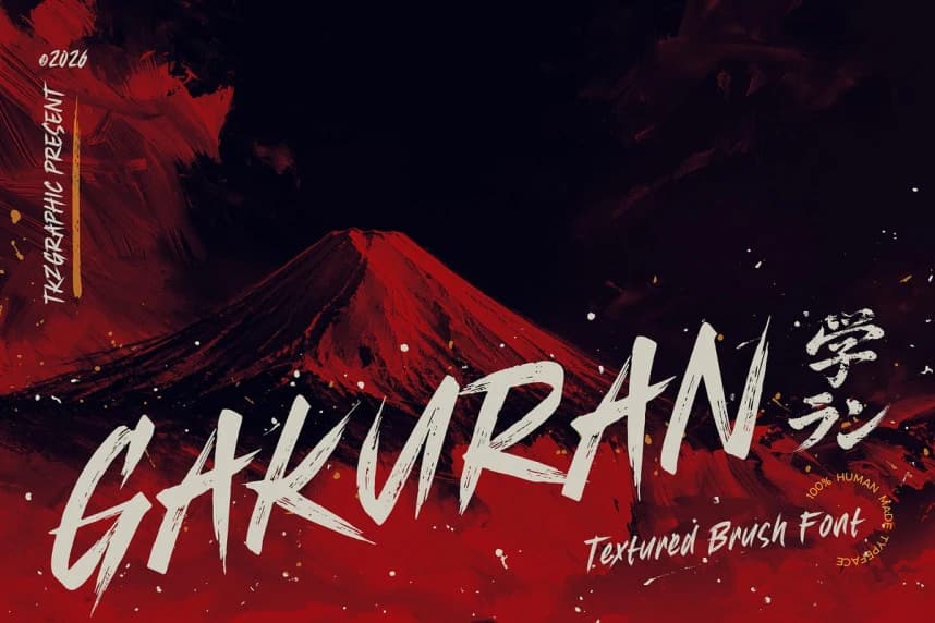 Gakuran Brush Font – Display creative asset