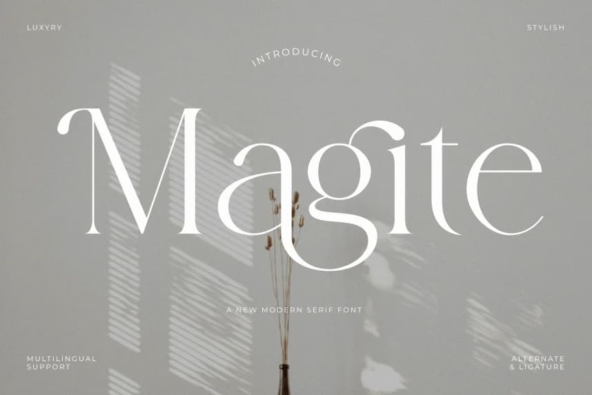 Magite Font – Serif creative asset