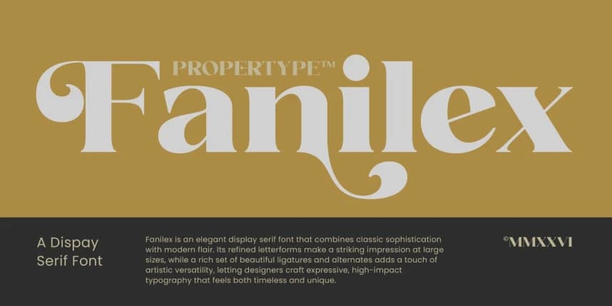Fanilex Font Family – Serif creative asset