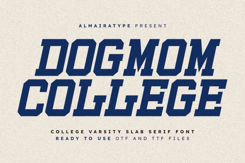 Dogmom College Font – Slab Serif Yazı Tipi creative asset