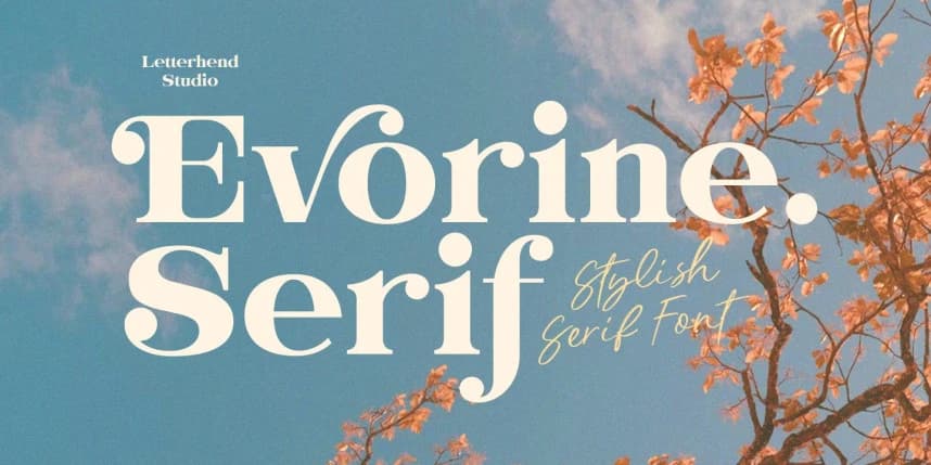 Evorine Font – Serif creative asset