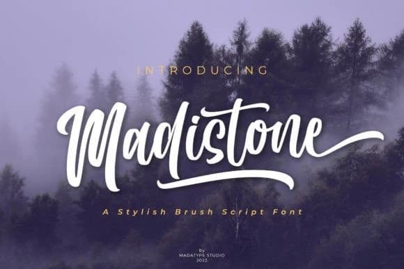 Madistone Script Font – Script creative asset