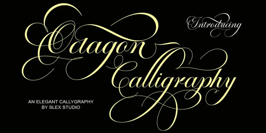 Octagon Calligraphy Font