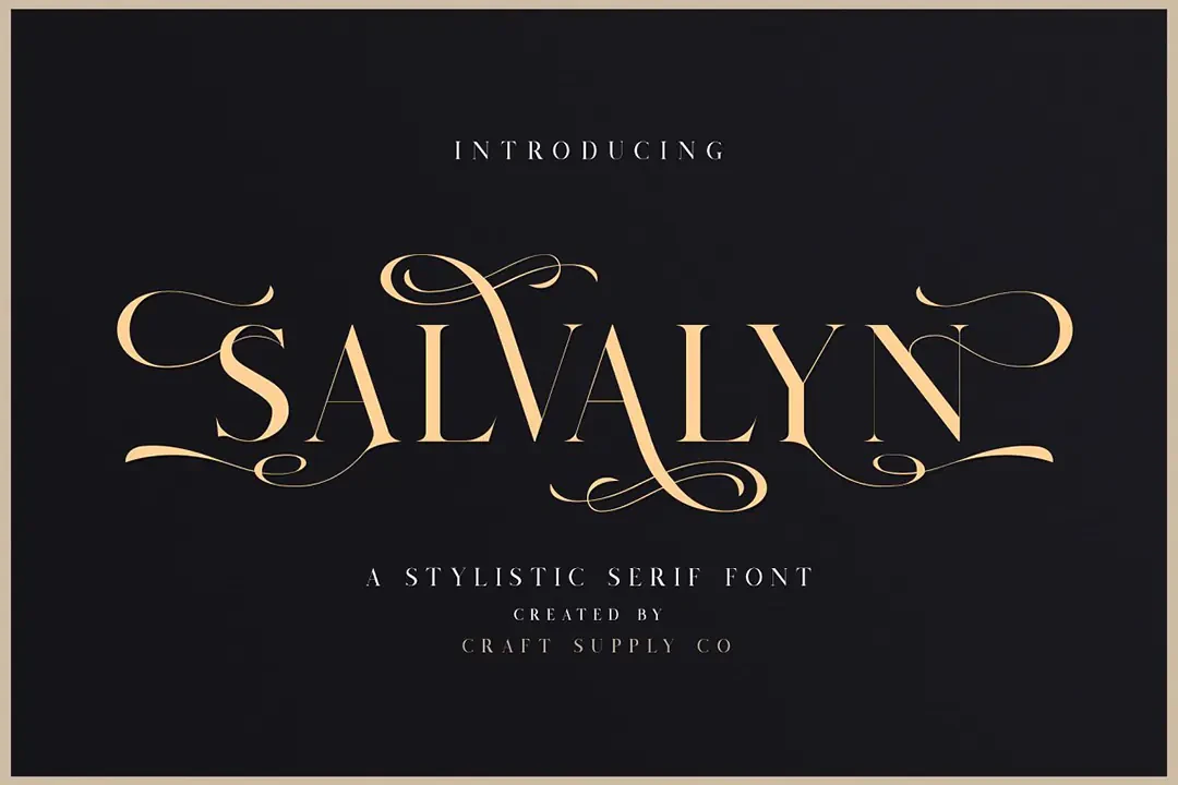 Salvalyn Stilistik Serif Yazı Tipi – Serif Yazı Tipi creative asset