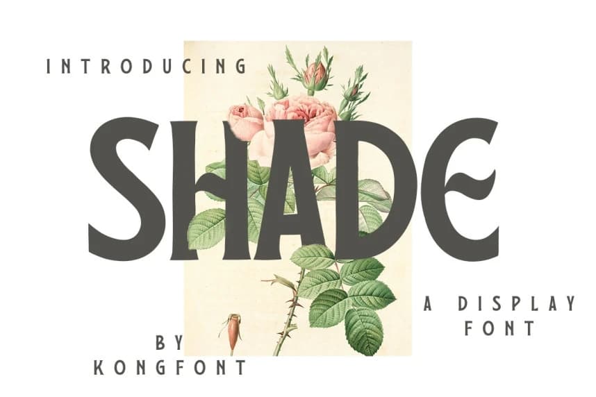 Shade Font – Display creative asset