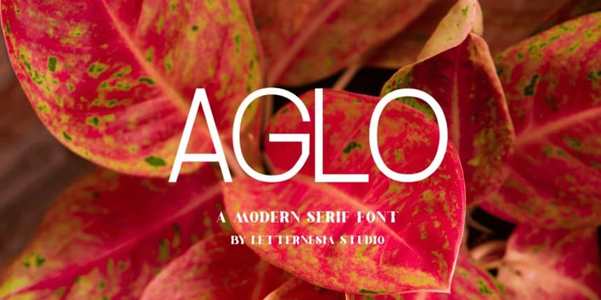 Aglo Font – Sans Serif creative asset
