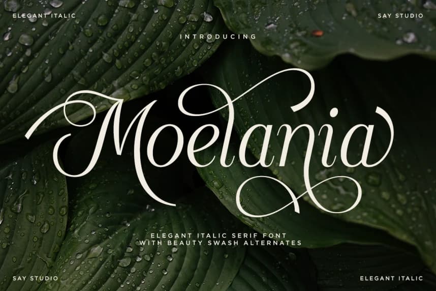 Moelania DEMO Font – Görüntü creative asset