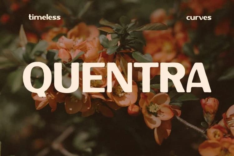 Quentra Font