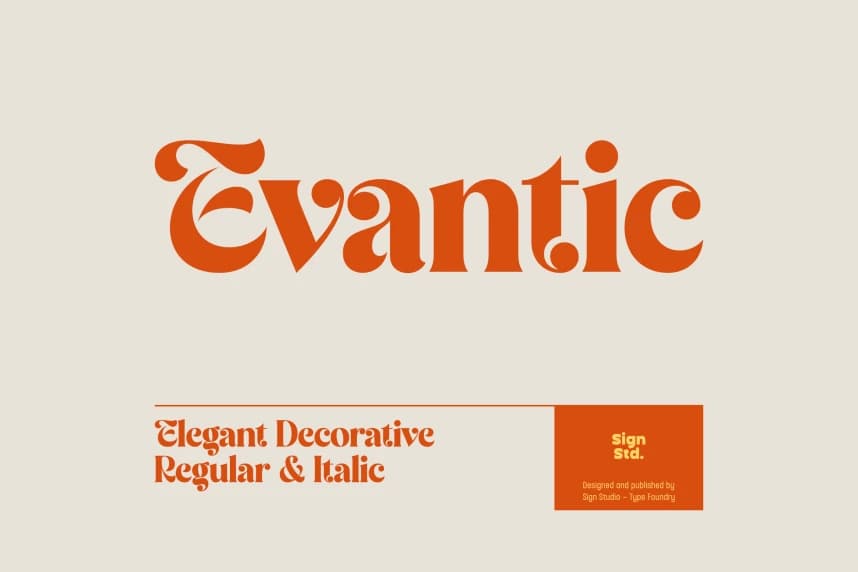 Evantic Serif Font – Serif Yazı Tipi creative asset