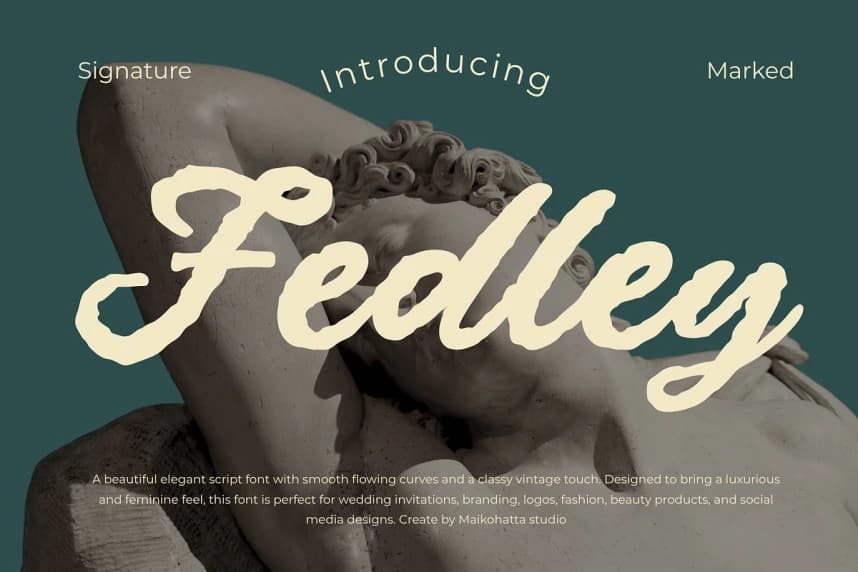 Fedley Script Font – Script creative asset