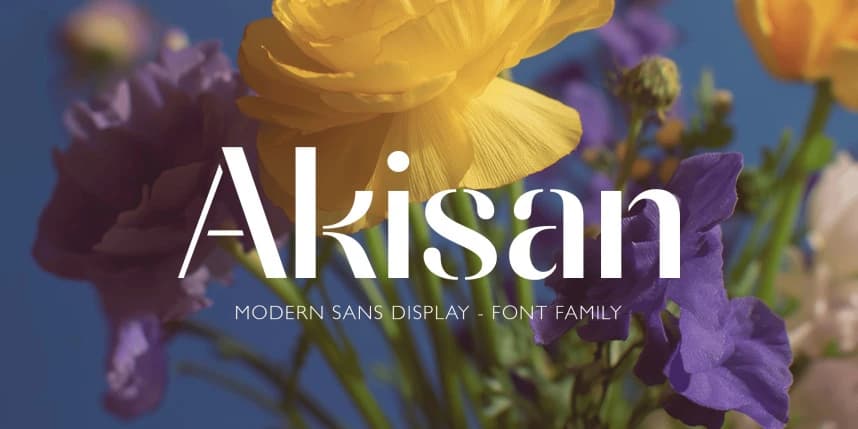 Akisan Font Family – Display creative asset