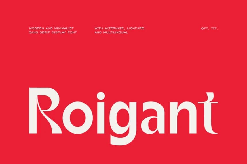 Roigant Font – Display creative asset