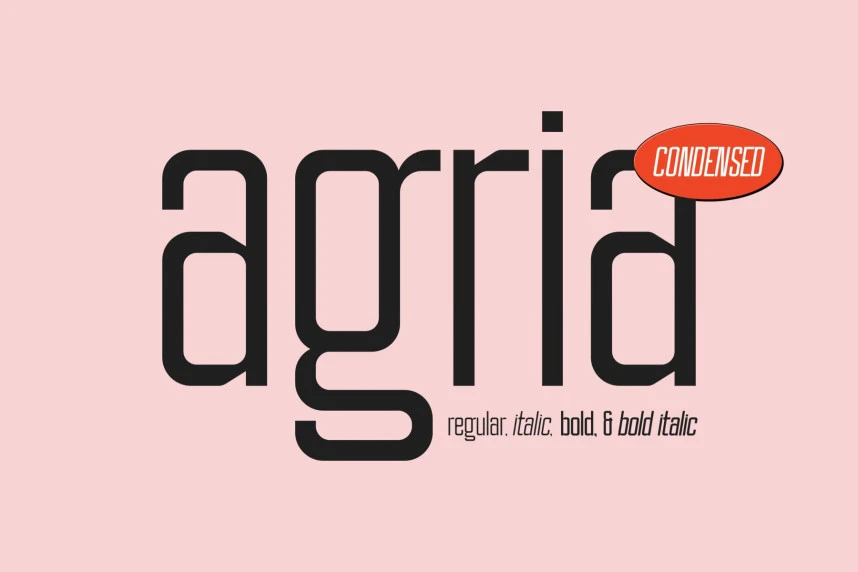 Agria Font – Sans Serif creative asset