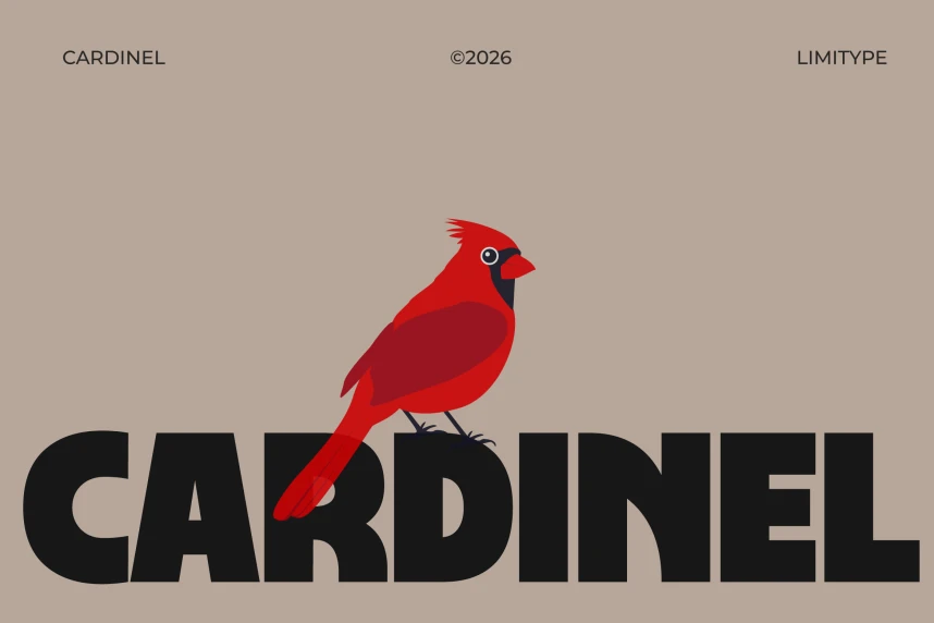 Cardinel – Bold Font