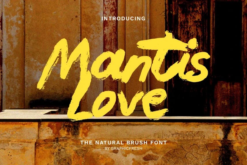 Mantis Love Font – Script creative asset