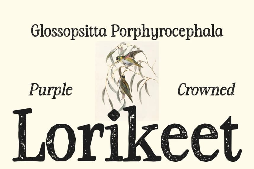 Küçük görsel 2