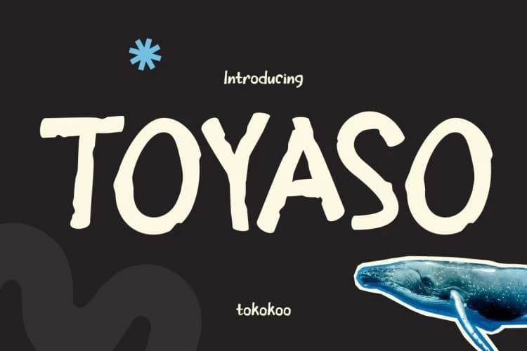 Toyaso Playful Font