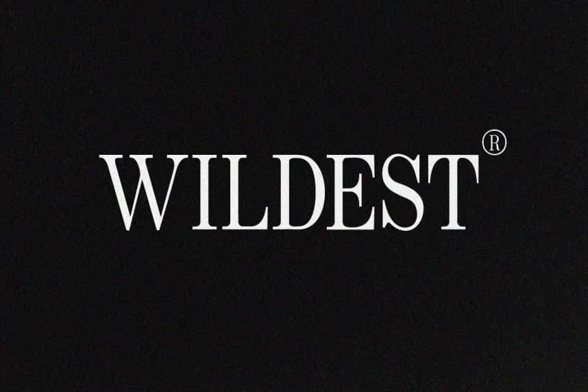 Wildest Serif Font
