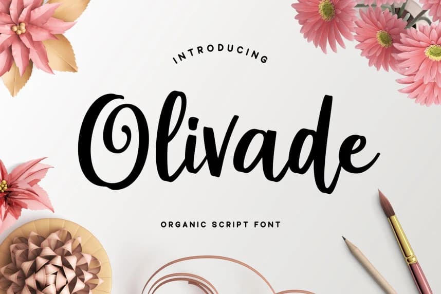 Olivade Script Font